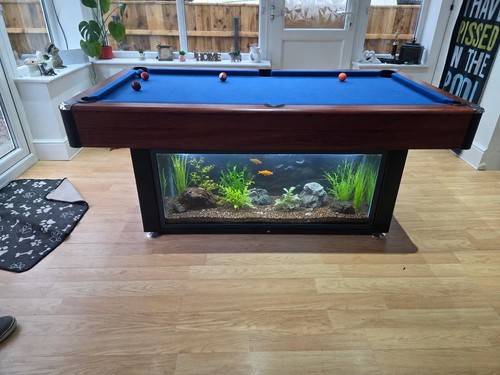 Aquarium pool table - pool,