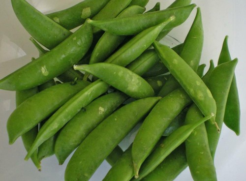 Pea delikett sugar snap 250 - snap,