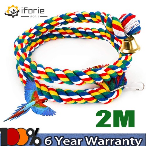 Bird rope parrot - bird, budgie