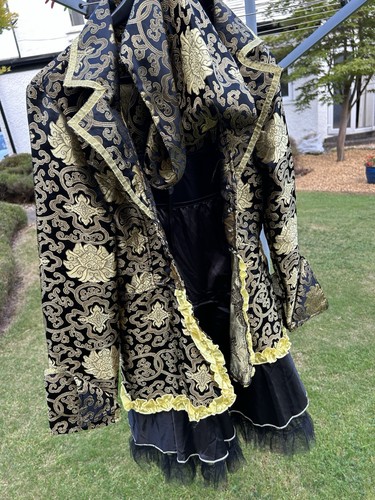 Fancy dress bundle - dress, 7-
