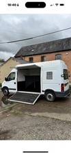 3.5t Horsebox Renault Master