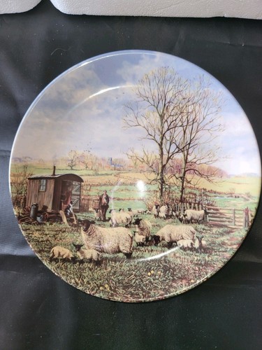 Collector plate lambing - lambing, the