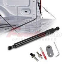 Rear Tailgate Assist Shock for