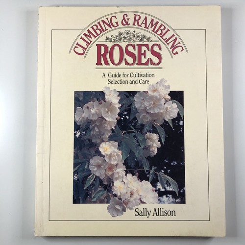 Climbing rambling roses a - &,