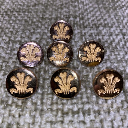 Military style buttons gold - style,