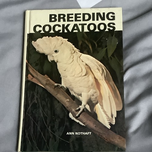 Breeding cockatoos - breeding,