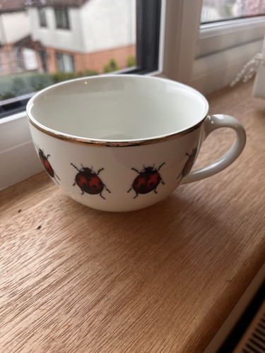 Home large ladybird - large, 🐞