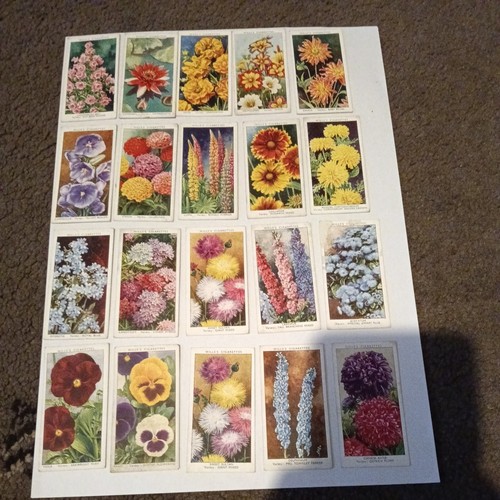 Garden flowers cigarette cards - flowers,