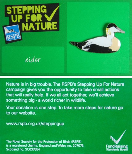 Rspb pin badge - rspb,