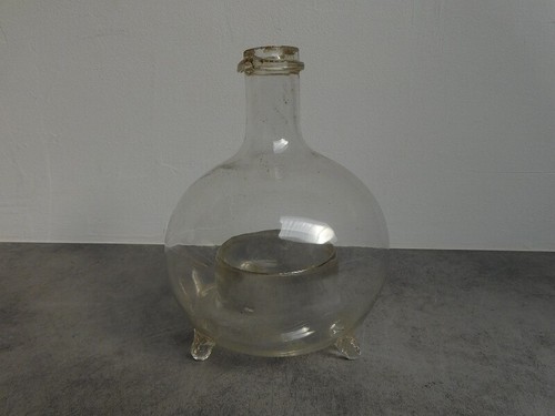 Wasp fly trap blown - wasp,