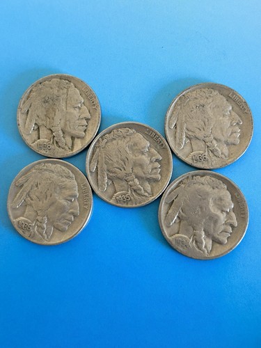 Buffalo nickels 5 - nickels,