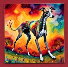 Multi colour Greyhound dog