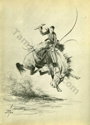 1936 horse art - dan, muller