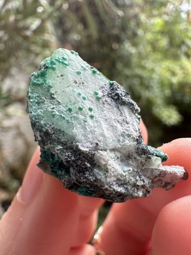 Raw chrysocolla crystal from - raw,