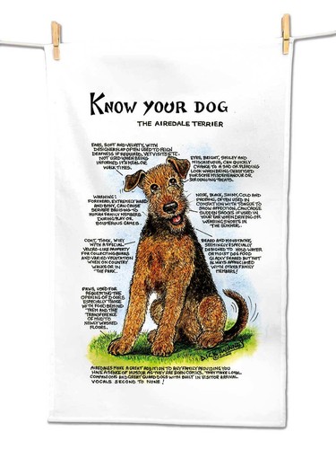 Airedale terrier tea towel - airedale,