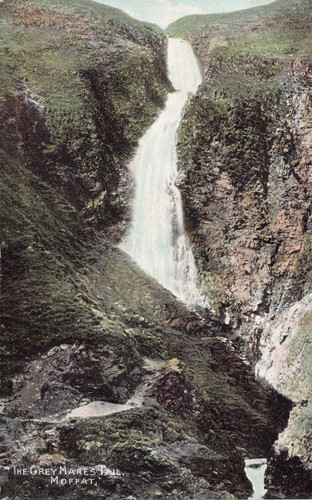 Postcard the grey - -,