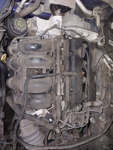 Engine ford focus - engine, (c346)