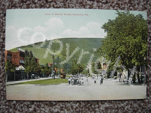 Shamokin view market - of,
