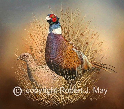 Limited edition pheasant - limited,