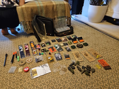 Carp fishing terminal - carp,