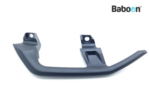 Grab bar left - left, (pillion