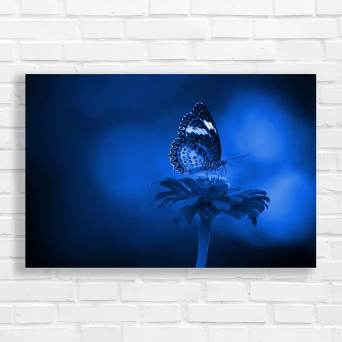 Breathtaking butterfly - butterfly, on
