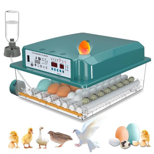 Automatic incubator for to - automatic, up