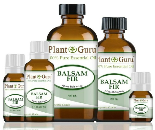Balsam fir needle essential - needle,