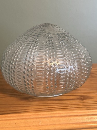 Mid century sea urchin - sea,