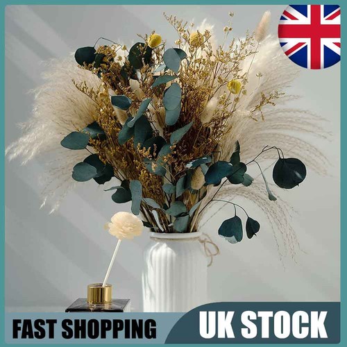 26pcs natural eucalyptu dried - natural,