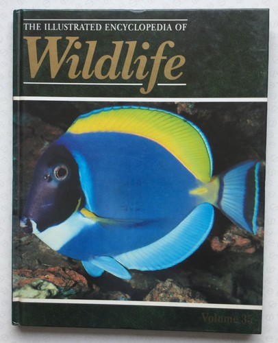 The illustrated encyclopedia - the,