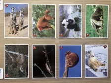 A Complete Sets of 12 Laughing Cow Stickers Unusual Friends 