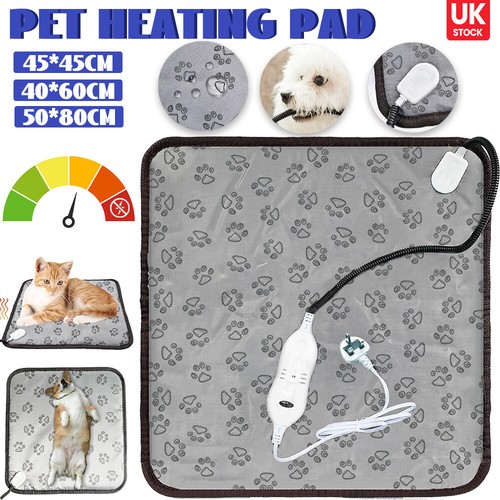 New pet heating - new,