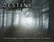 White Wolf Dog Motivational
