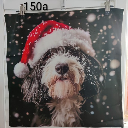 Christmas bearded collie - christmas,