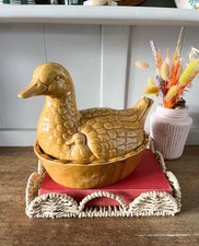 Vintage Ceramic Duck Egg