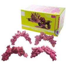 Real reef rock arch - rock,