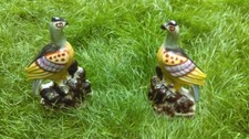 Pair Staffordshire Victorian Exotic Ceramic Birds c 1850/60 Very Good Con ~ RARE