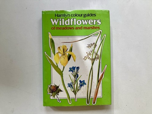 Wild flowers meadows and - flowers,