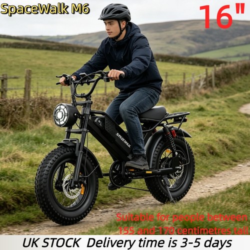 Fat tire bike 250w - tire,