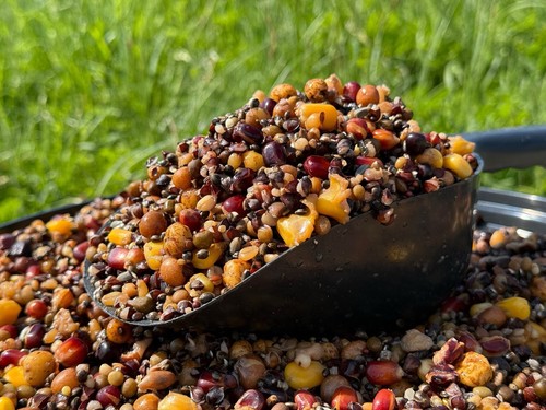 Prepared nutz crunch particle - nutz,