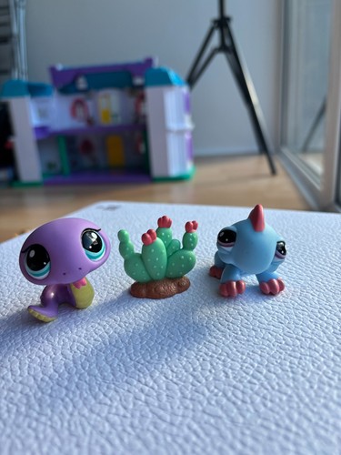 Rare littlest pet - littlest,