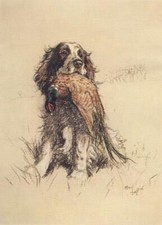 Cecil Aldin Dog Print - Vintage Cocker Spaniel Reproduction Poster, A Dozen Dogs