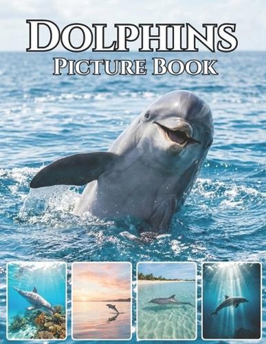 Dolphins graceful spirits - graceful,