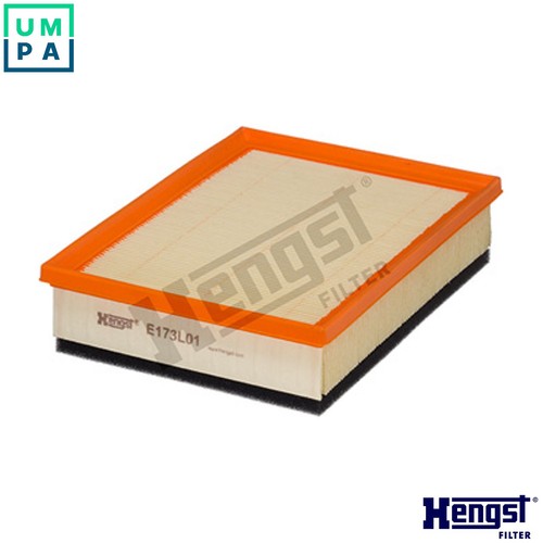 Air filter e173l01 for alpina - filter,