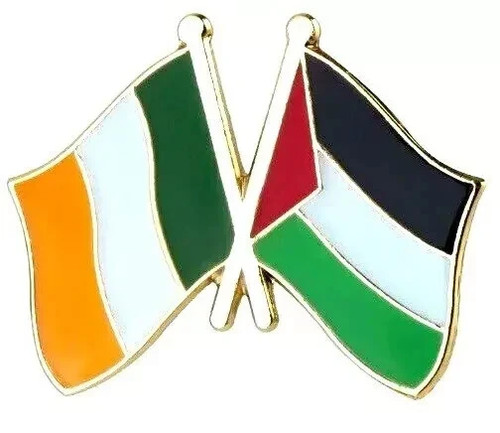 Ireland palestine badge flag - palestine,