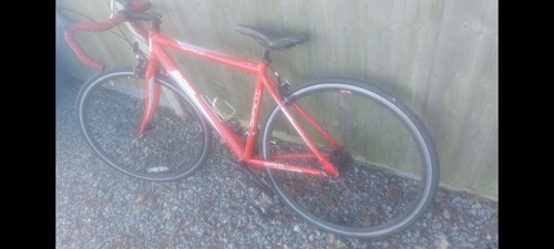 Racing bike dbr sprint - racing, red.