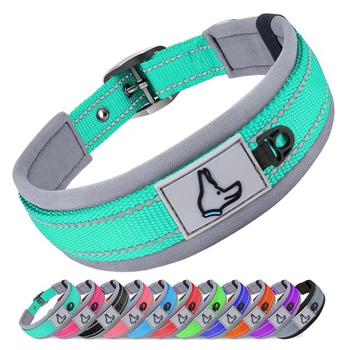 Padded reflective dog collar - reflective,