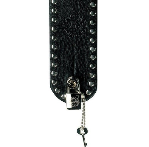 New dimarzio padlock guitar - dimarzio,