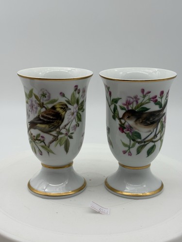 Vintage oiseaux chanteurs - x,